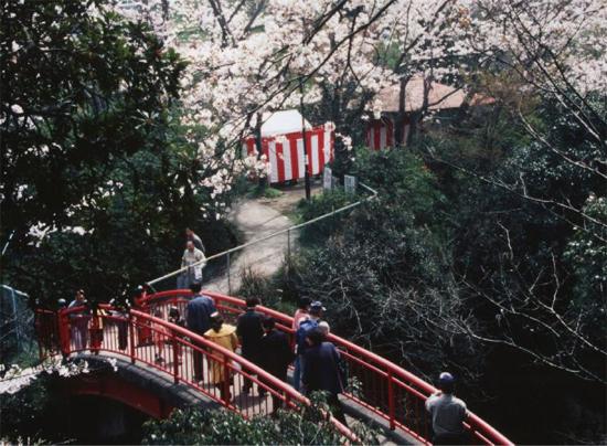 大井関公園の写真